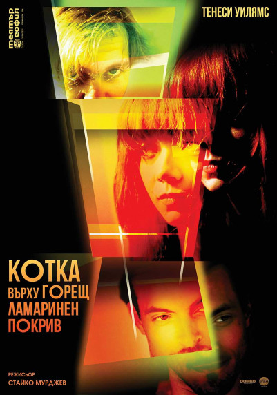 Изображение на галерия: Котка върху горещ ламаринен покрив