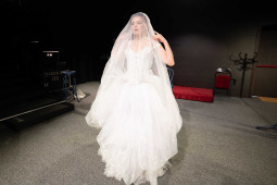 Скрити лимонки - Изображение на галерия 8