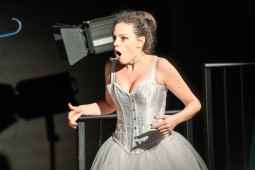 Скрити лимонки - Изображение на галерия 7